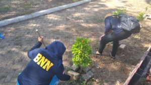 BNN Kab. Gorontalo Utara Ikut Grebek Sampah Dalam Rangka Jumat Bersih dan Sehat BNN Kab. Gorontalo Utara Ikut Grebek Sampah Dalam Rangka Jumat Bersih dan Sehat